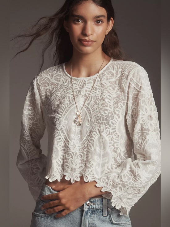 Anthropologie Tops - Anthropologie Maeve Sheer Eyelet Long-Sleeve Top in White